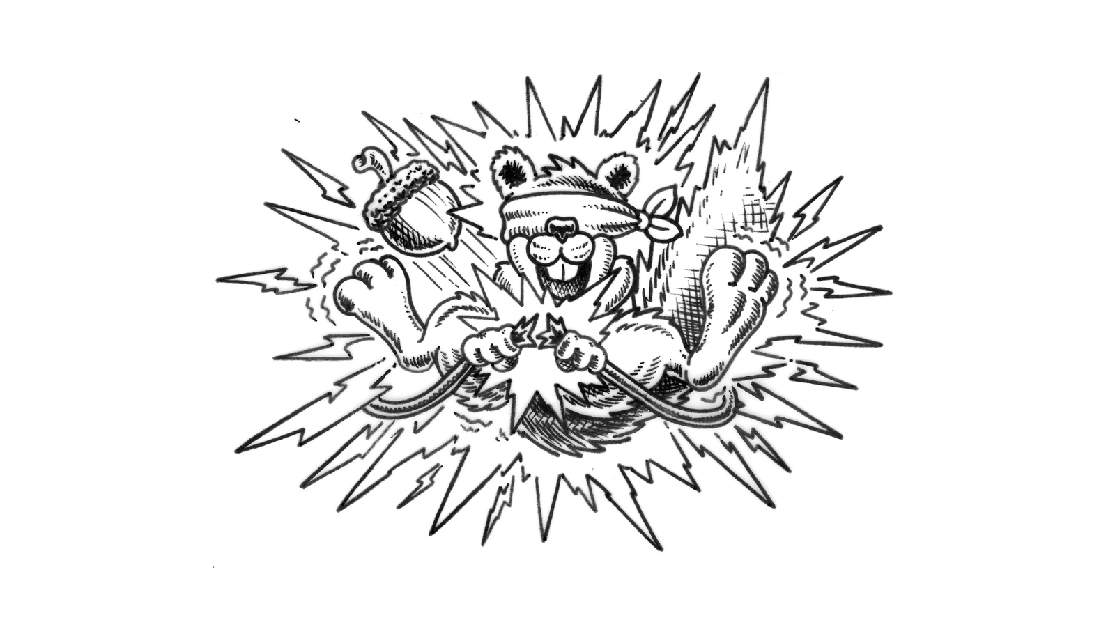 The Blind Squirrel LLC